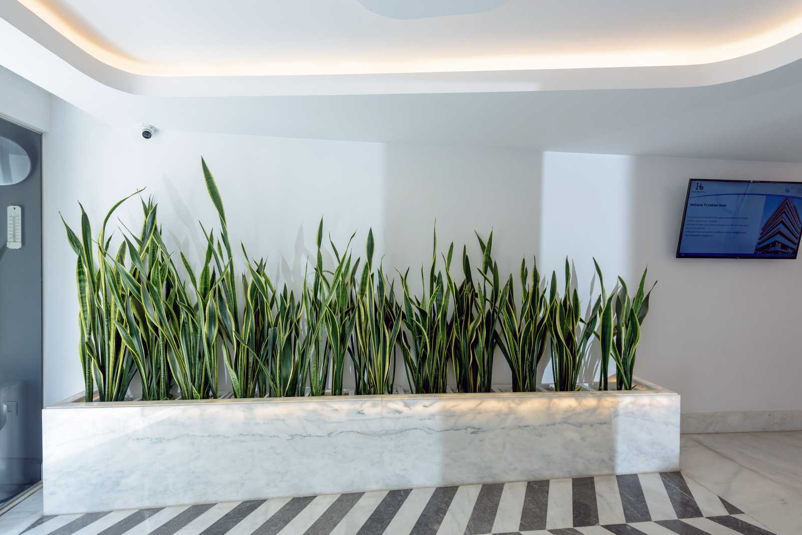 Lobby & Reception Area